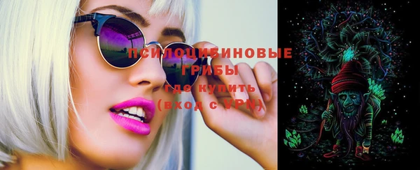 дурь Балахна