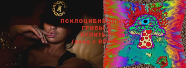 крисы Балабаново