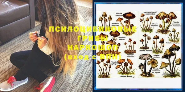 дурь Балахна