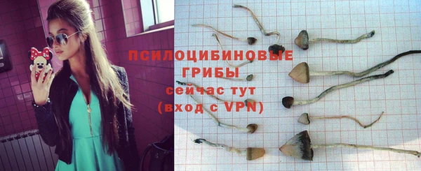 крисы Балабаново