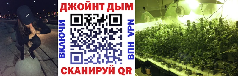 Бошки Шишки MAZAR  сколько стоит  Кола 